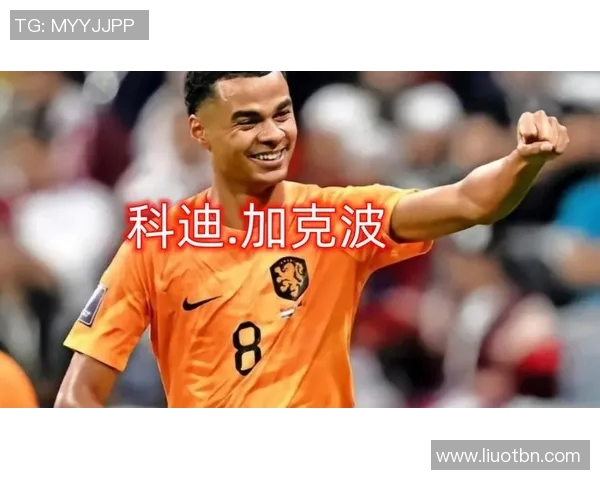 加克波：从新星崛起到足坛巨星的辉煌之路与未来展望